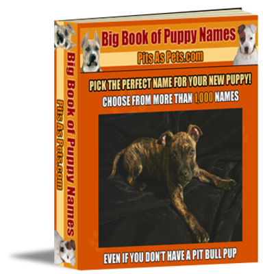 Product picture big book of puppy names